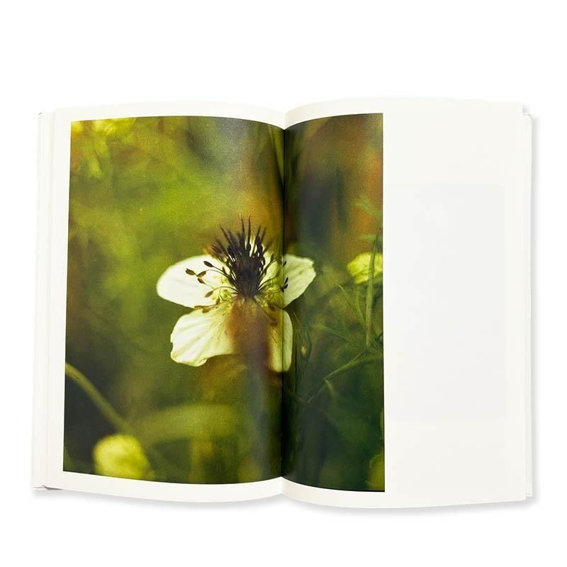 【希少本】高橋恭司 Lost time Kyoji Takahashi Kyoji Takahashi: Lost time *signed高橋恭司 *署名本 - 古本