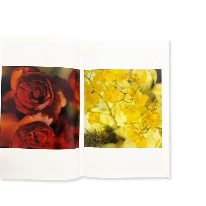 高橋恭司　サイン入り写真「Mexico」C-print ビンテージ 高橋恭司 サイン入り写真「Mexico」C-print ビンテージ 高橋恭司