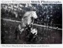 Stock Photographs GARRY WINOGRAND ゲイリー・ウィノグランド写真集