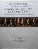 HUMAN AND ANIMAL LOCOMOTION ɥɡޥ֥å̿ vol.1&2å