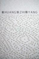  HUANG ZHI YANG1988-2008