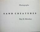SAND CREATURES Photographs  Ray K.Metzker 쥤K.å̿