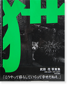 猫 武田花 写真集 TOKYO WILD CATS Hana Takeda - 古本買取 2手 猫 武田花 写真集 TOKYO WILD CATS Hana Takeda - 古本買取 2手