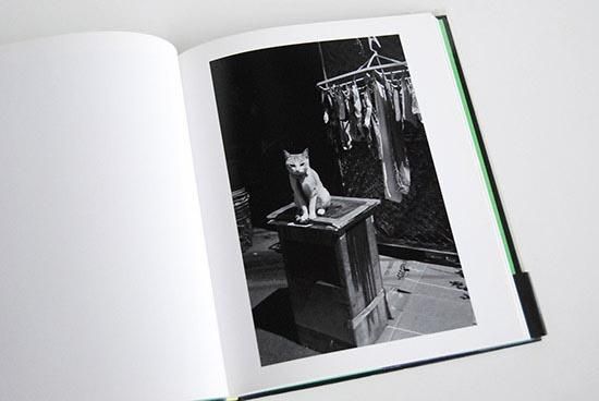 猫 武田花 写真集 TOKYO WILD CATS Hana Takeda - 古本買取 2手