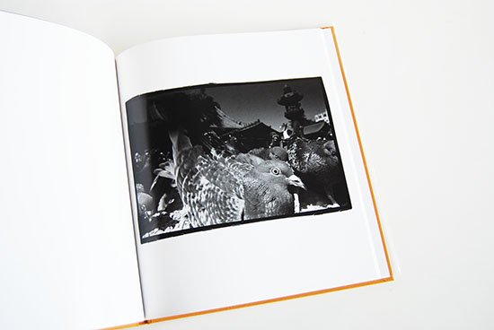 Hysteric Twelve FUKASE MASAHISA 深瀬昌久 写真集 - 古本買取 2手舎