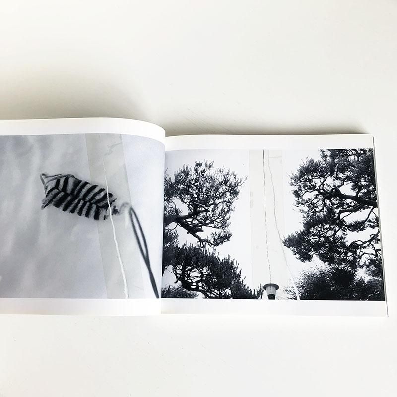荒木経惟 写真夏 2011（新品同入手困）限定700部 荒木経惟 写真夏 2011（新品同入手困）限定700部