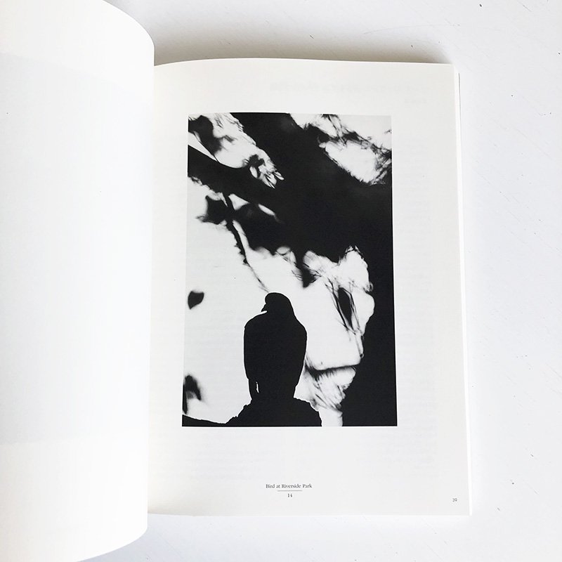 Y. ERNEST SATOW Selected PhotographsY. アーネスト・サトウ写真集 - 古本買取 2手舎/二手舎 nitesha  写真集 アートブック 美術書 建築