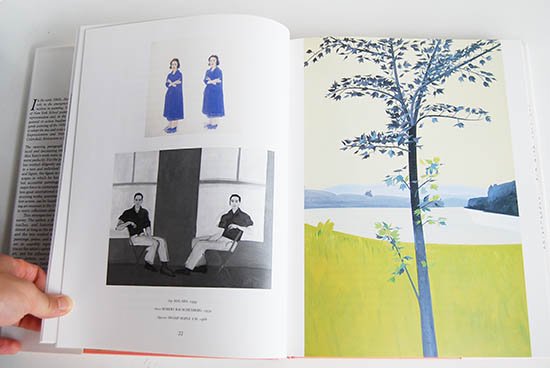 ALEX KATZ A RETROSPECTIVE by Irving Sandler アレックス・カッツ 作品集 - 古本買取 2手舎/二手舎  nitesha 写真集 アートブック 美術書 建築