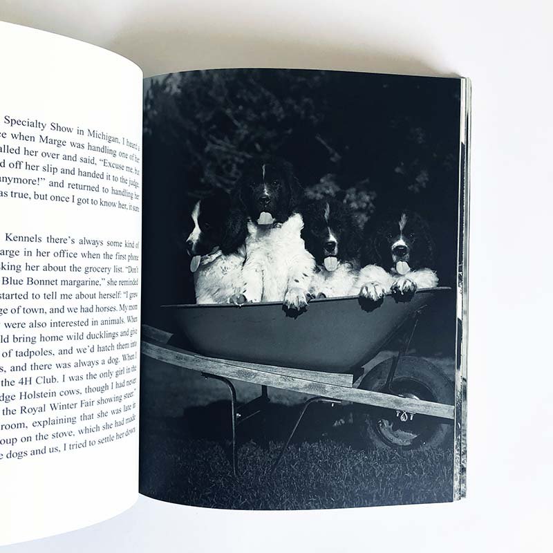 GENTLE GIANTS A BOOK OF NEWFOUNDLANDS by Bruce Weberブルース・ウェーバー - 古本買取  2手舎/二手舎 nitesha 写真集 アートブック 美術書 建築