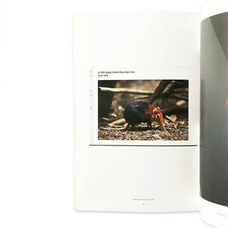 Wolfgang Tillmans: Wako Book 5ヴォルフガング・ティルマンス