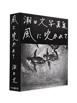 風に吹かれて 潮田文 写真集 Blowin' in the Wind USHIODA BUN PHOTOGRAPHS - 古本買取 2手舎/二手舎  nitesha 写真集 アートブック 美術書 建築