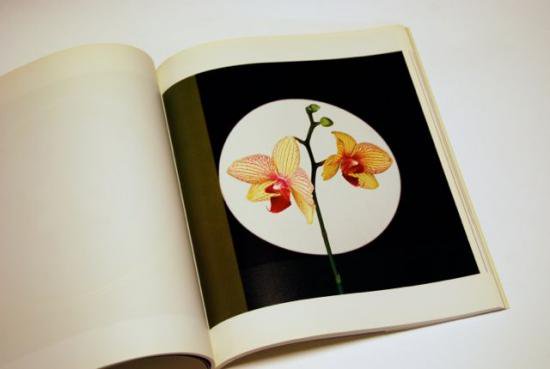 メイプルソープの花 ソフトカバー版 Flowers Robert Mapplethorpe 古本買取 2手舎 二手舎 Nitesha 写真集 アートブック 美術書 建築