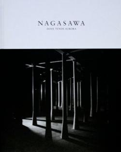 長澤英俊 オーロラの向かう所 NAGASAWA DOVE TENDE AURORA Nagasawa