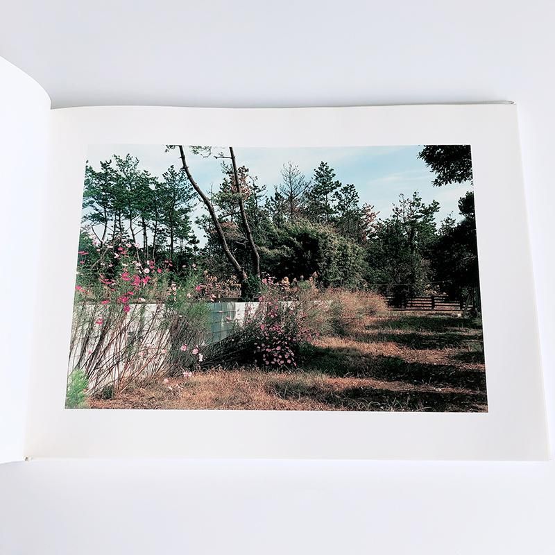 THE SIGN OF LIFE by Seino Yoshiko清野賀子 - 古本買取 2手舎