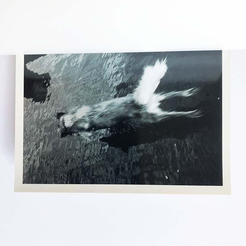Wolfgang Tillmans: SNAP ART COLLECTION 003ウォルフガング