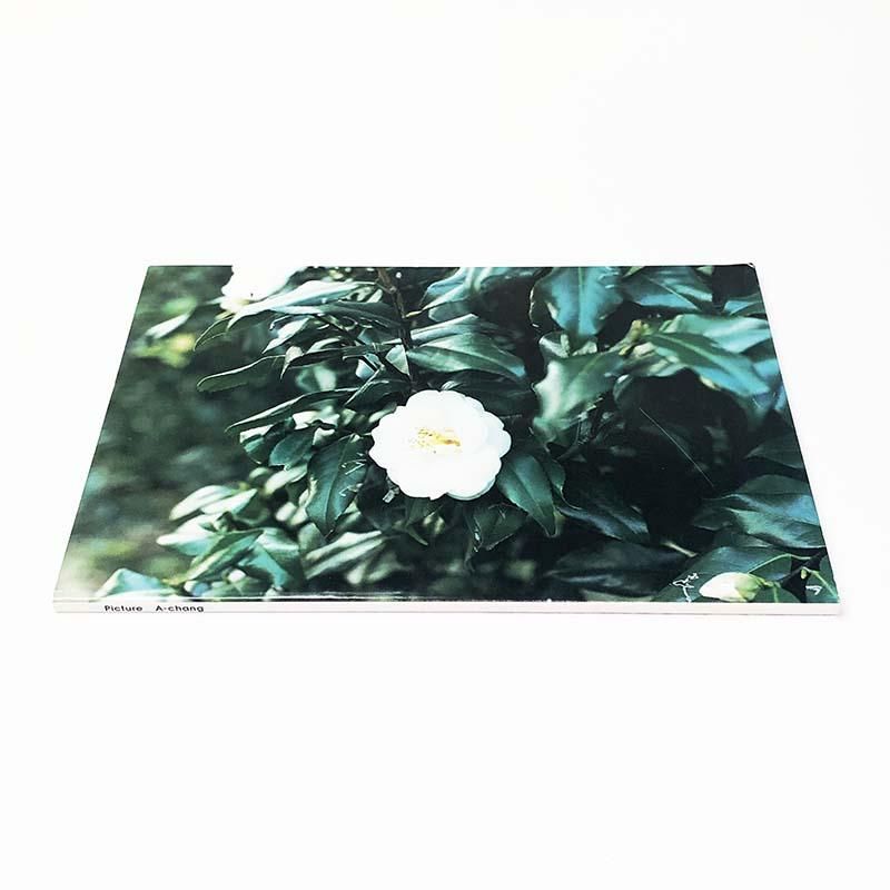 A-CHANG 写真集 Picture アーチャン 2002年 A-CHANG 写真集 Picture アーチャン 2002年 - メルカリ