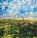 DANCE Seiji Shibuya ߧë ̿