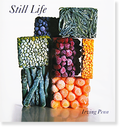 STILL LIFE US Edition Irving Penn photographs 1938-2000