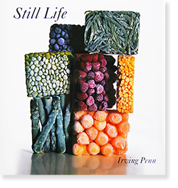 Still Life Irving Penn 写真集　洋書　古本大型本