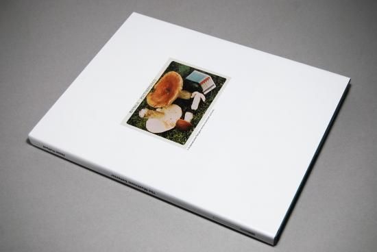 The Mushroom Collector ジェイソン・フルフォード 写真集 The Mushroom Collector | Jason Fulford ジェイソン・フルフォード