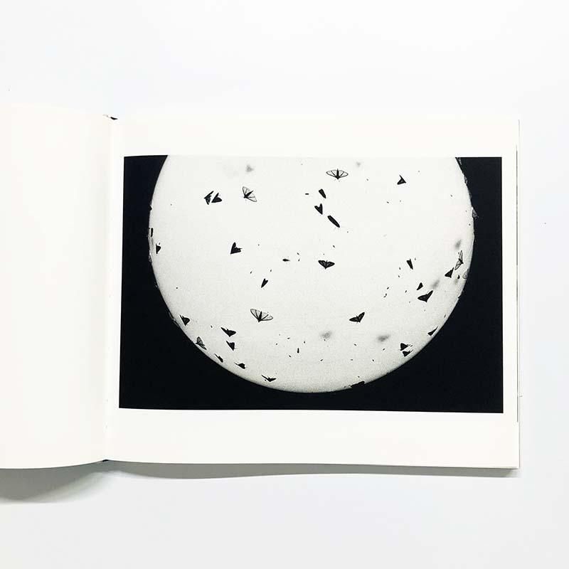 Trent Parke: MINUTES TO MIDNIGHTトレント・パーク - 古本買取