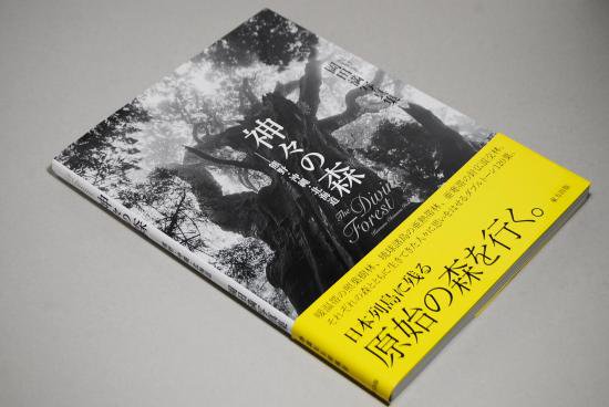 神々の森 熊野・沖縄・北海道 岡田満 THE DIVINE FOREST Kumano Okinawa Hokkaido Mitsuru Okada  - 古本買取 2手舎/二手舎 nitesha 写真集 アートブック 美術書 建築 - 写真集