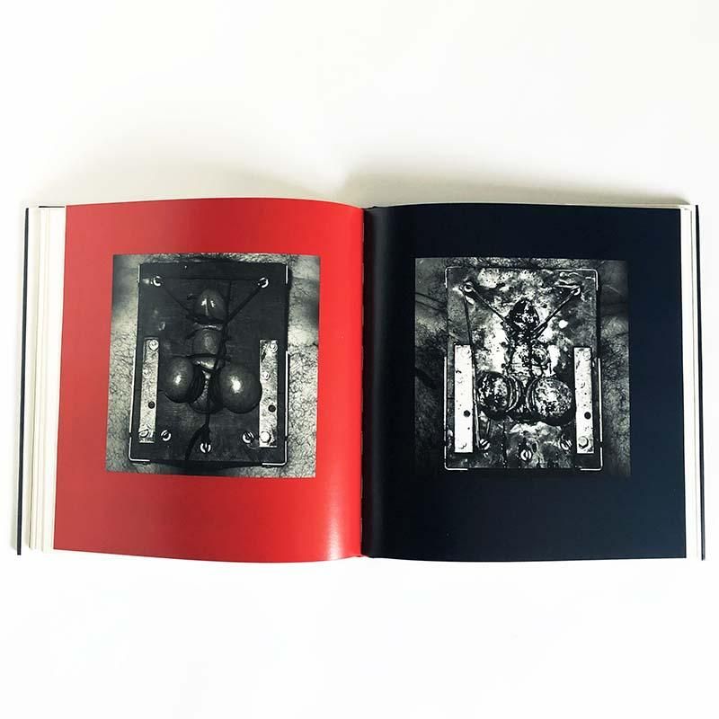 ALTARS by Robert Mapplethorpeロバート・メイプルソープ - 古本買取 2手舎/二手舎 nitesha 写真集 アートブック  美術書 建築