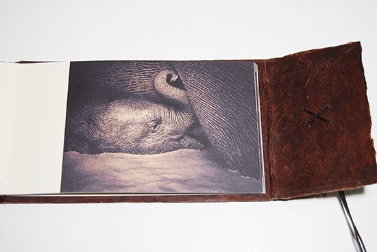 Ashes and Snow Book No.6 Gregory Colbert グレゴリー・コルベール 