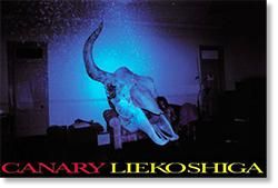 写真集 CANARY / LIEKO SHIGA ： カナリア / 志賀理江子