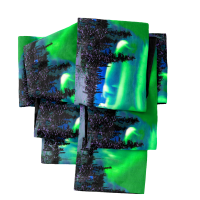 ȾӡsFU00099¨Ǽ