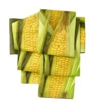 FU101180