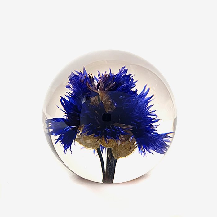 Hafod Grange | Paperweight | Cornflower - Stripe-inc. Online Shop