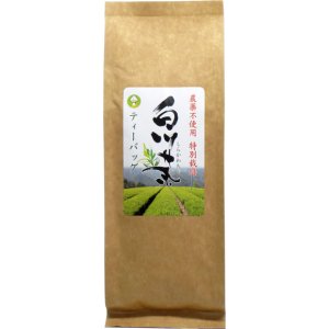 農薬不使用特別栽培白川茶　ティーバッグ　100g（5g×20入り）ゆうパケット対応