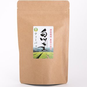 農薬不使用 特別栽培白川茶　ティーバッグ　100g（5g×20）