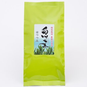 新茶予約　農薬不使用 特別栽培白川茶　はつつみ　200g　ゆうパケット対応