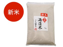 【新米】海藻米こしひかり白米5�