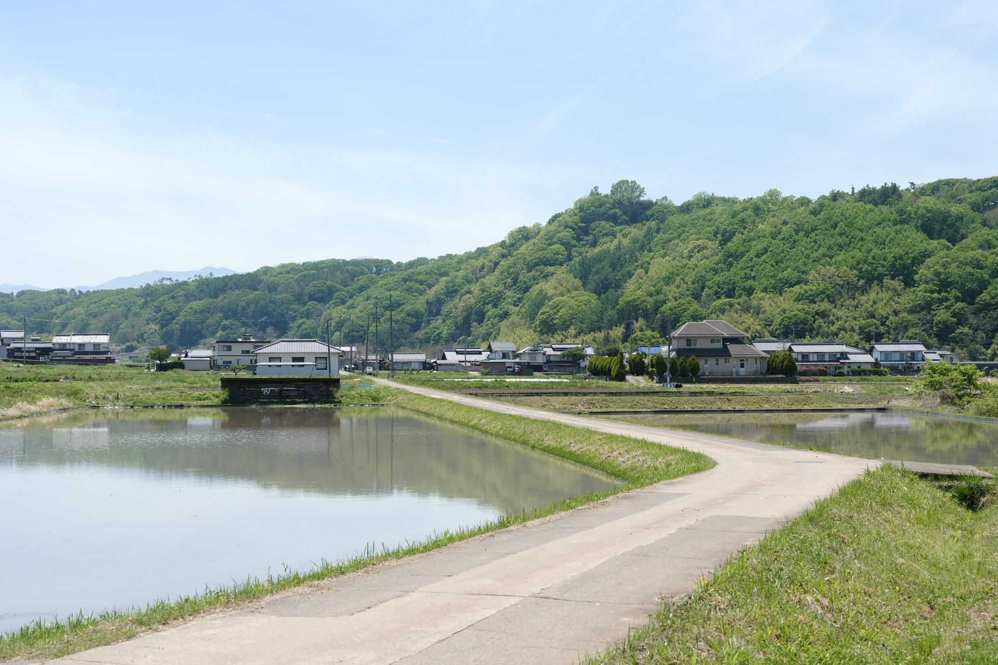 いとう写真館 出張撮影会