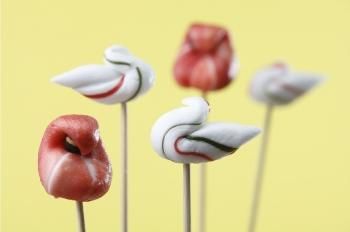 工房あめつち　あめつち　小箱　長方形　鹿　シカ　蝶々 工房あめつち 箸置き 'book' 抽選販売のお知らせ | asa