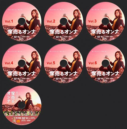 日本ドラマ 家売るオンナ TV+SP 北川景子 工藤阿須加 DVD-BOX♪7枚組