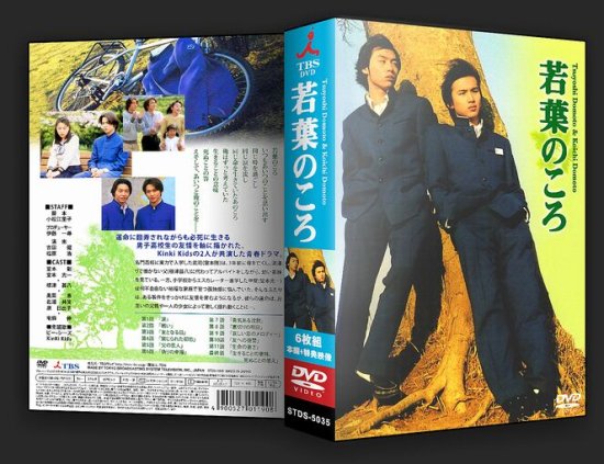 若葉のころ  DVD-BOX 6枚組