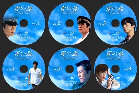 青い鳥 DVD-BOX 夏川結衣 豊川悦司 本編全話+特典 日本ドラマ 6枚組