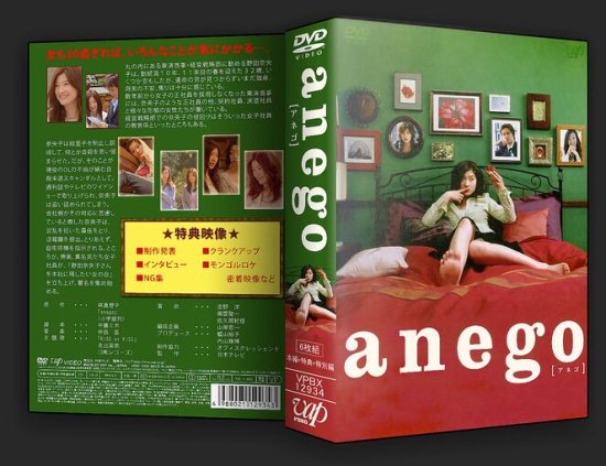 anego DVD-BOX 篠原涼子 本編全話+特典+SP 日本ドラマ 6枚組