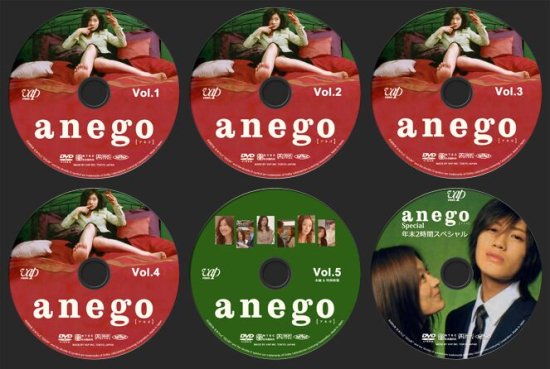 anego DVD-BOX 篠原涼子 本編全話+特典+SP 日本ドラマ 6枚組