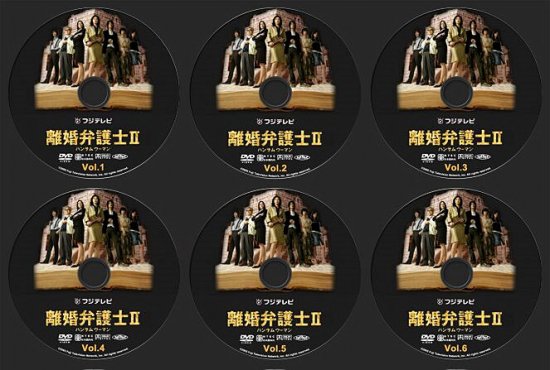 離婚弁護士 DVD-BOX シーズン２ 天海祐希 瀬戸朝香 本編全話 日本