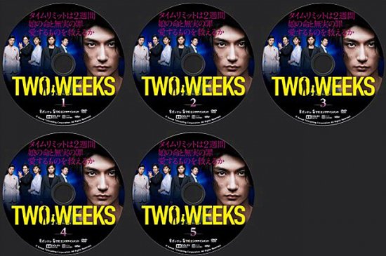 TWO WEEKS DVD-BOX 三浦春馬 本編全話 日本ドラマ 5枚組