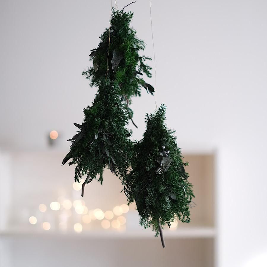 flying treeߥ3ĥåȭ