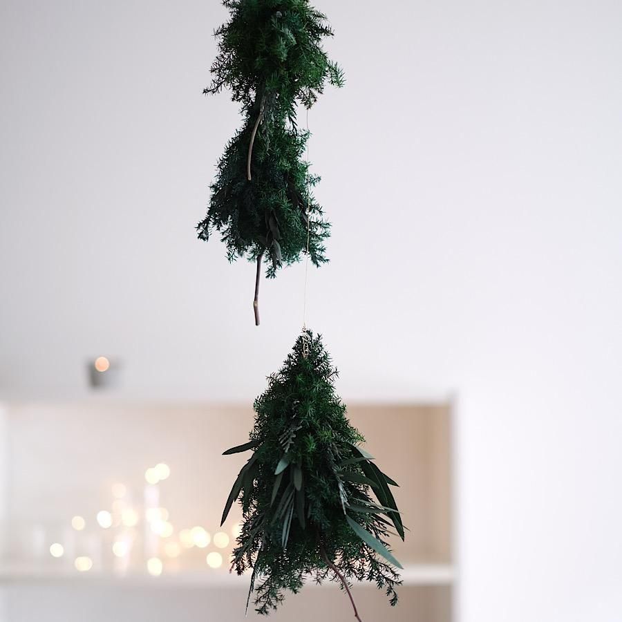 flying treeߥ3ĥåȭ