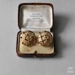 TRIFARIȥե ɥɡȥӡ饹