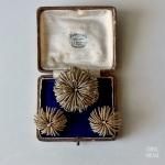 BERGERE٥른 ɥף饤󥹥֥ܥ