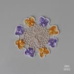 ѥ󥸡 饦ɥåɥ꡼ ⡼ 